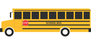 SCHOOL BUS BIDS