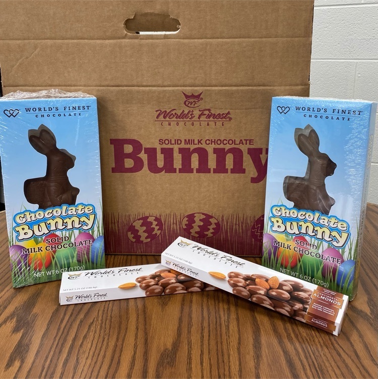 bunny