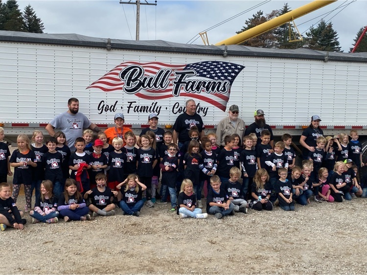 Bull Farms