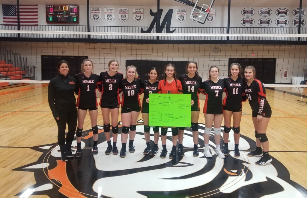 wmd volleyball champions
